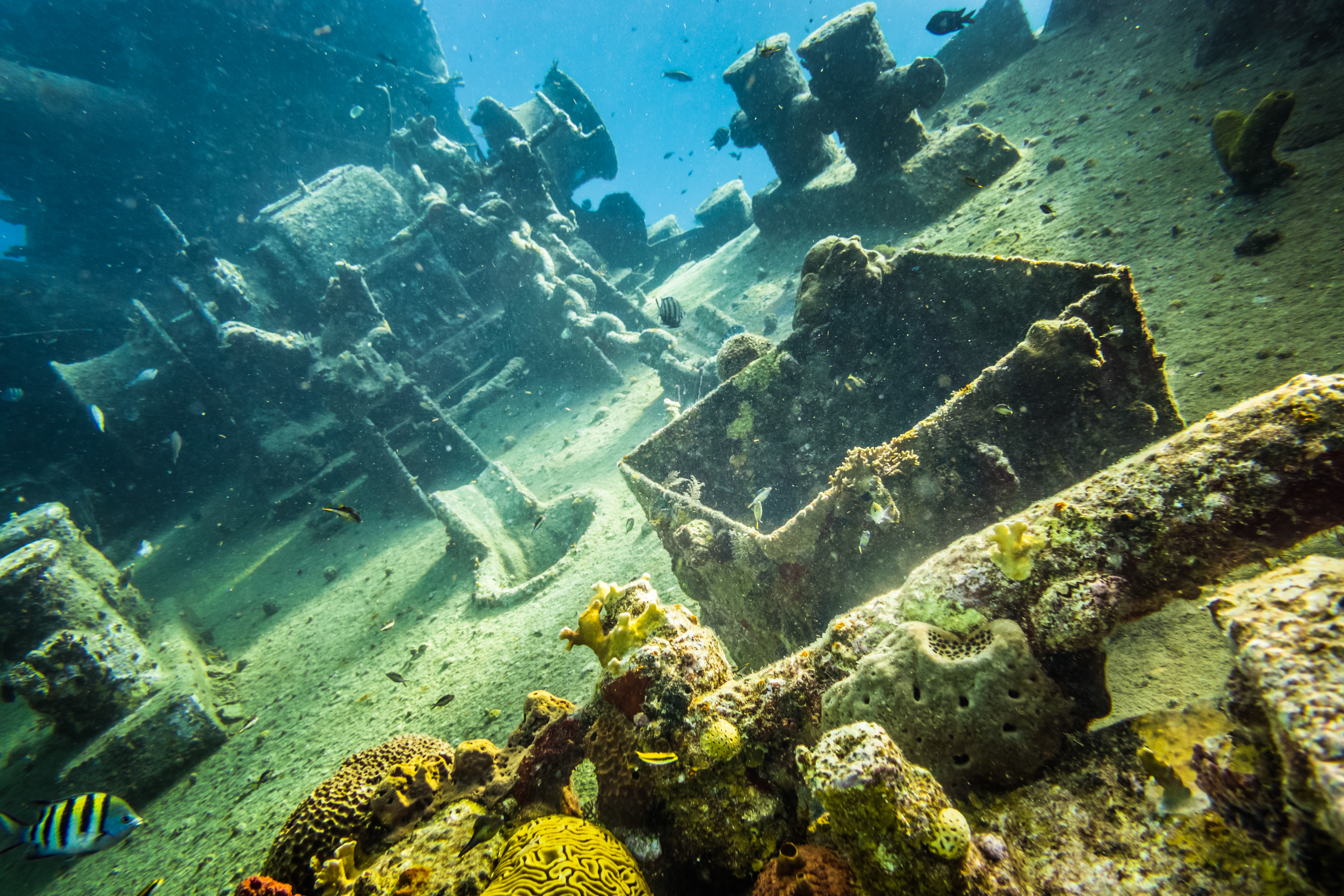Wreck Dives in Hawaii